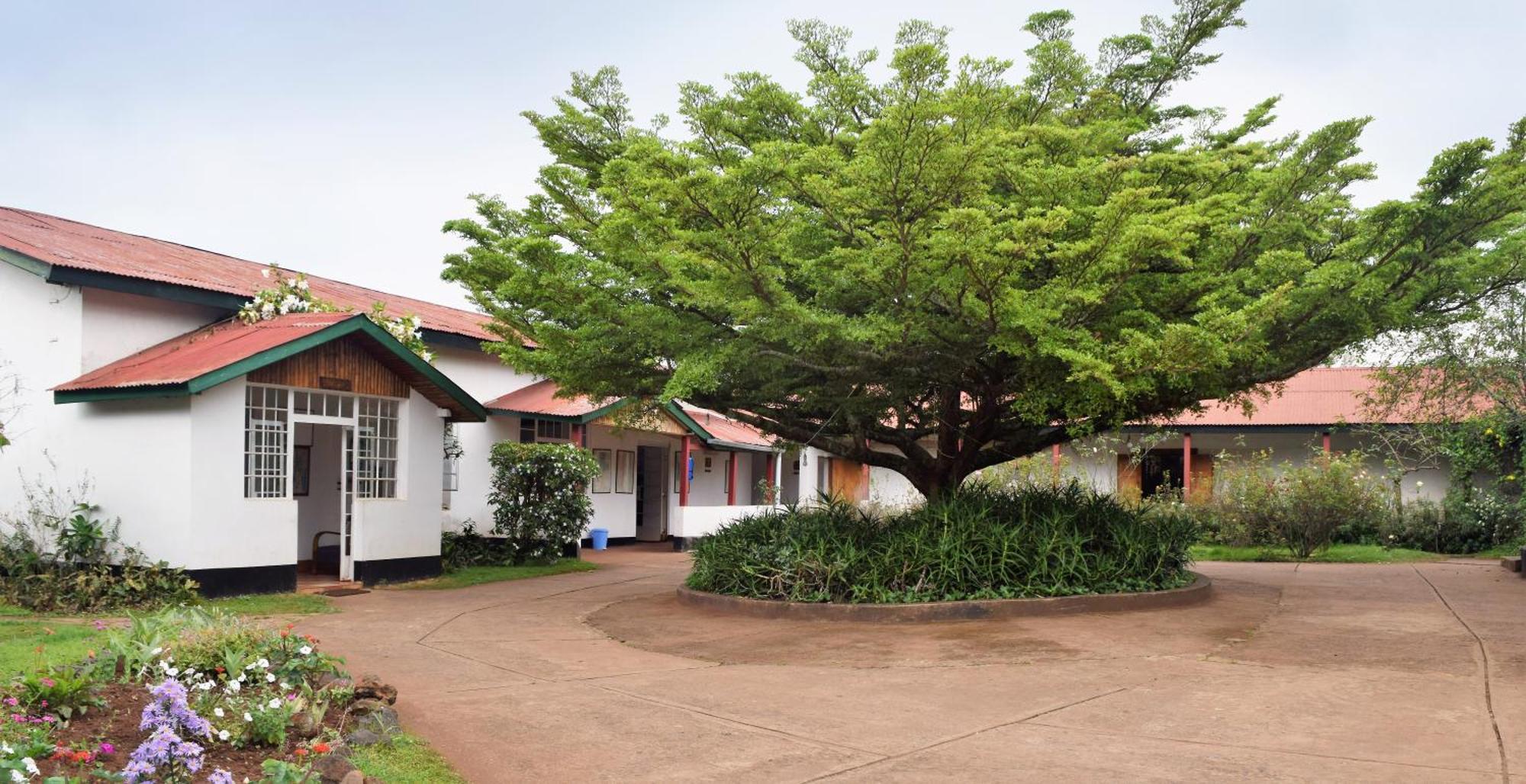 Marangu Hotel Buitenkant foto